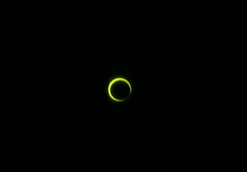 http://www.sus-yamatoku.co.jp/blog/images/IMG_00401a.jpg